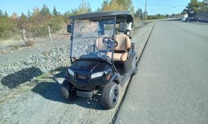 2021 Metallic Tuxedo Black Pass Onward