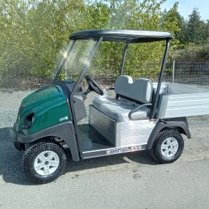 2025 Carryall 300 Electric
