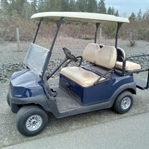 2021 Tempo Electric, Sapphire, 4 Pass