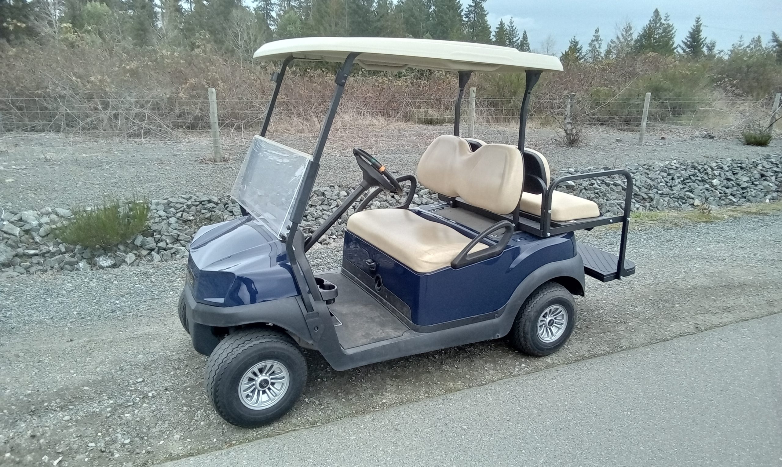 2021 Tempo Electric, Sapphire, 4 Pass