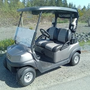 2022 Tempo Electric, Metallic Platinum