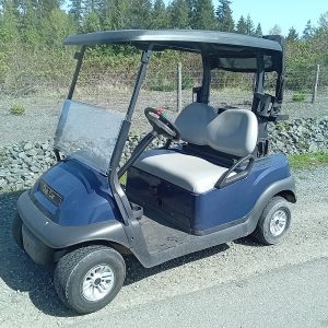2019 Precedent Electric, Sapphire